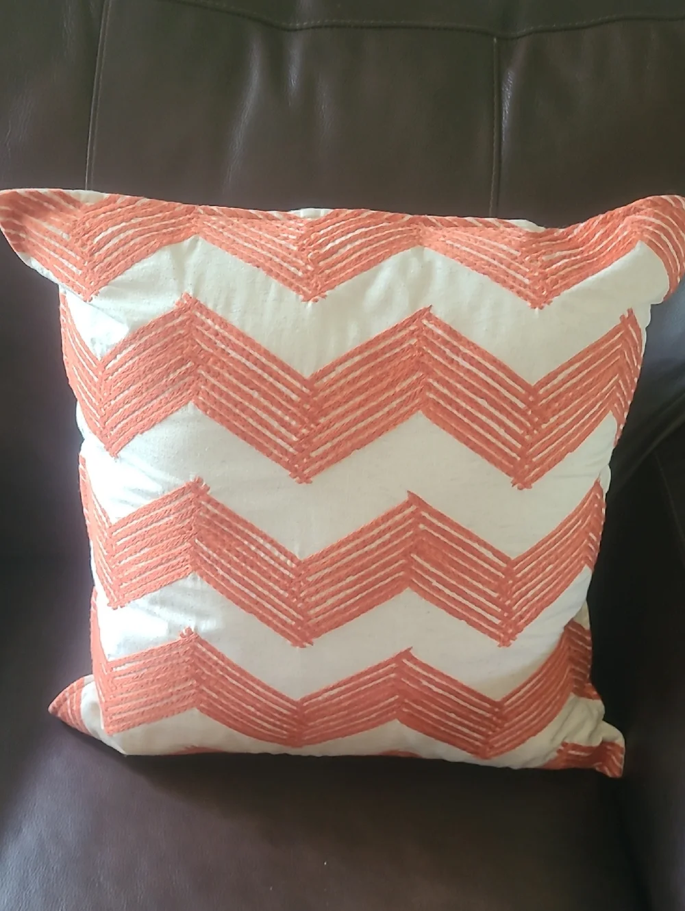 Pottery Barn Throw Pillow